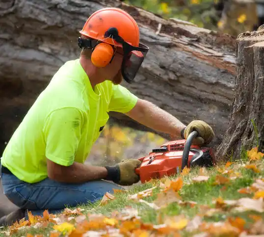 tree services Sledge